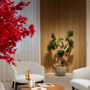 KinAura Experience Voucher