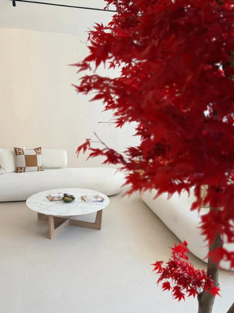 Sofa and red maple tree in the KinAura lounge