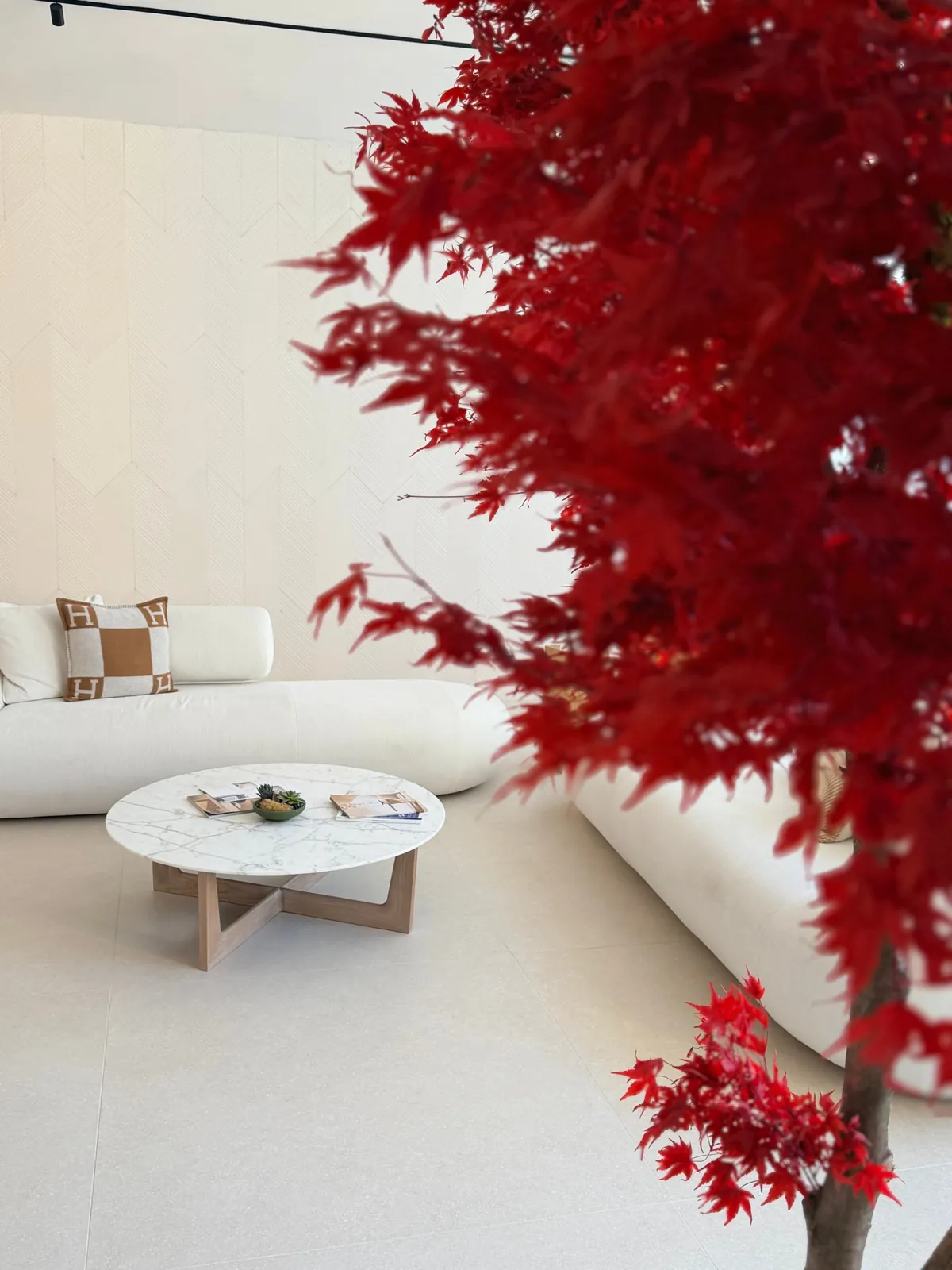 The red maple in the KinAura lounge